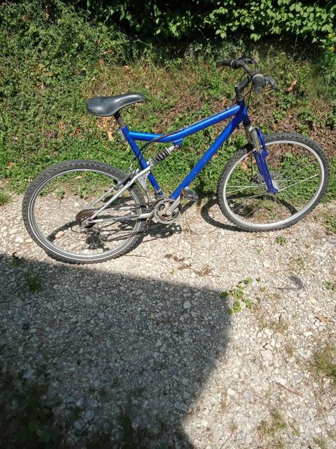 velo vtt 50 Valleiry (74)