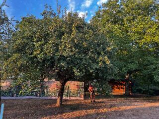  Remise / Grange � vendre 1 pi�ce 330 m� Champvert