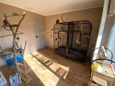 Cage oiseaux 340 22300 Lannion