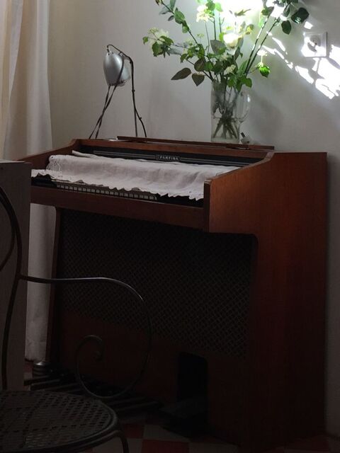 ORGUE , VINTAGE COLLECTOR , plus en fabrication 0 Saint-Honor�-les-Bains (58)