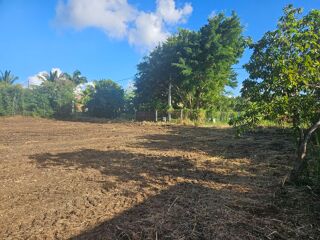  Terrain à vendre 1563 m²