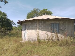  Terrain � vendre 25000 m� Kafountine