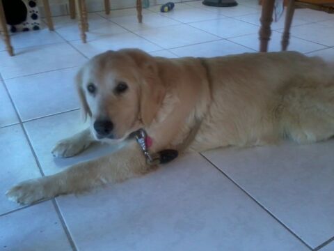 Recherche  personne  pour  heures de M&eacute;nage  par semaine . 
0 29950 Clohars-fouesnant