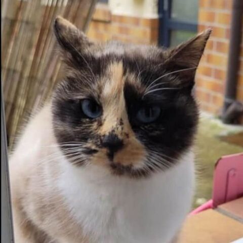 H&eacute;m&eacute;ra 190 59154 Crespin