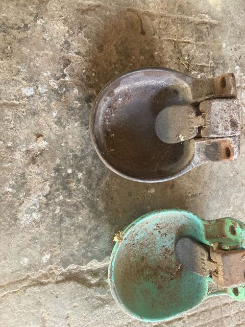 abreuvoirs 20 17620 Saint-agnant