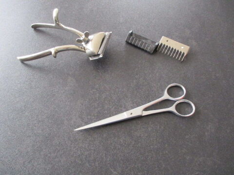 Acienne tondeuse 50 Castres (81)