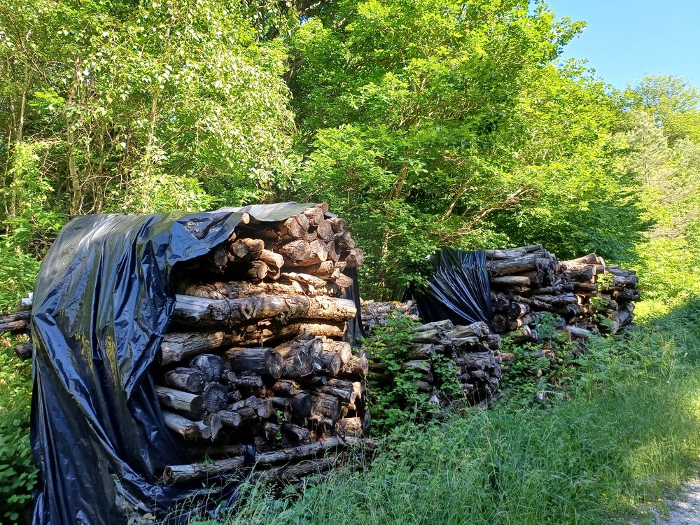 Bois de chauffage Jardin