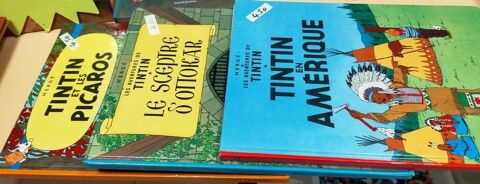 Lot de 3 BD Tintin (4.50� pce)
12 Mirecourt (88)