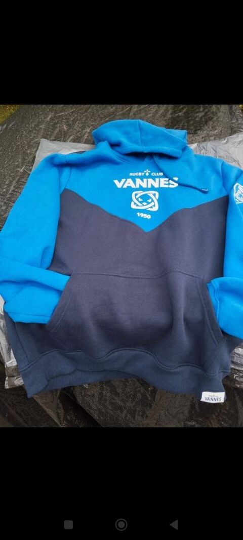 sweat  capuche bleu 40 Pluneret (56)