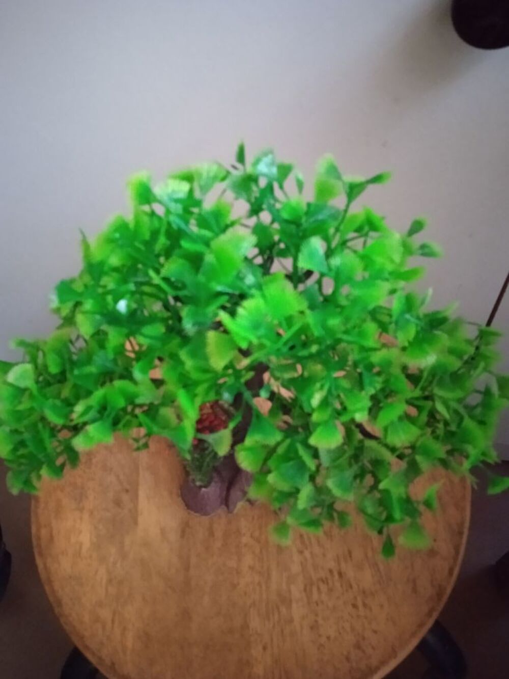 aquarium plante en plastique 24 H 26cm il est neuf. Décoration
