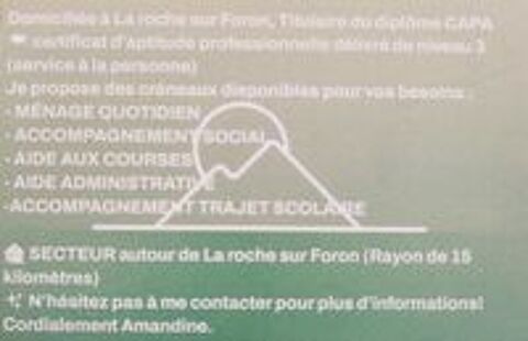   Amandine BAERT,SERVICE AUX PERSONNES ACTIVITE CESU/CESU + 