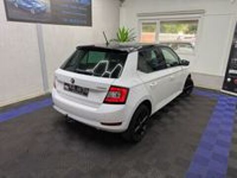 Fabia 1.0 TSI 95 ch BVM5 Clever 2018 occasion 69120 Vaulx-en-Velin