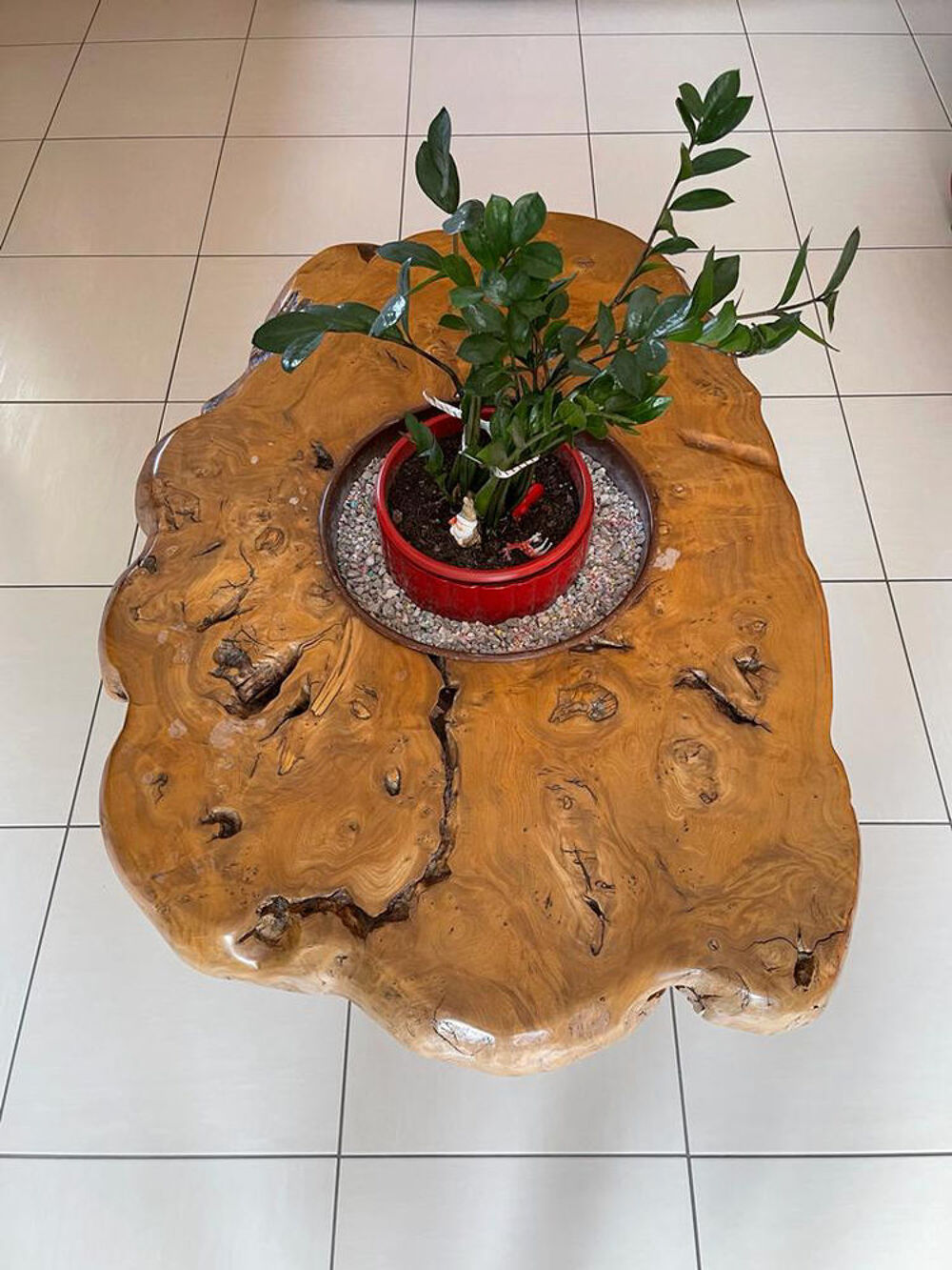 Table basse en loupe d'orme Meubles