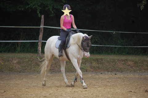 JOLIE JUMENT CREMELLO POUR LOISIRS OU / ET ELEVAGE 2500 89000 Auxerre