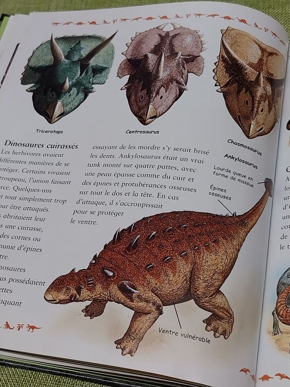 Dinosaures livre l'univers fascinant des animaux Christopher Livres et BD