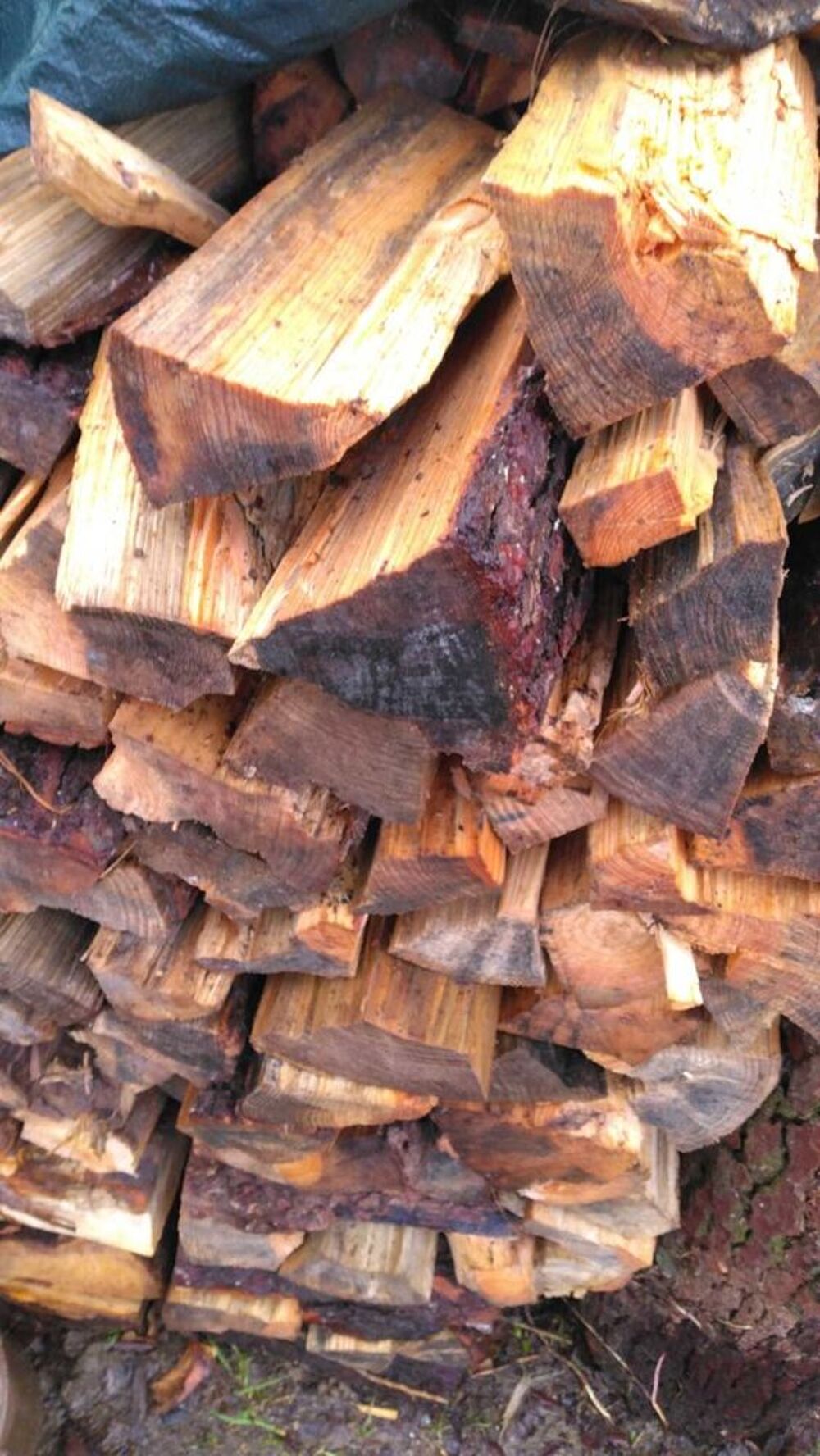 bois+de+chauffage+33+cm Jardin