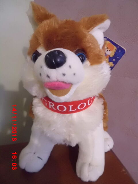 CHIEN MUSICAL SANDY 19 Oignies (62)