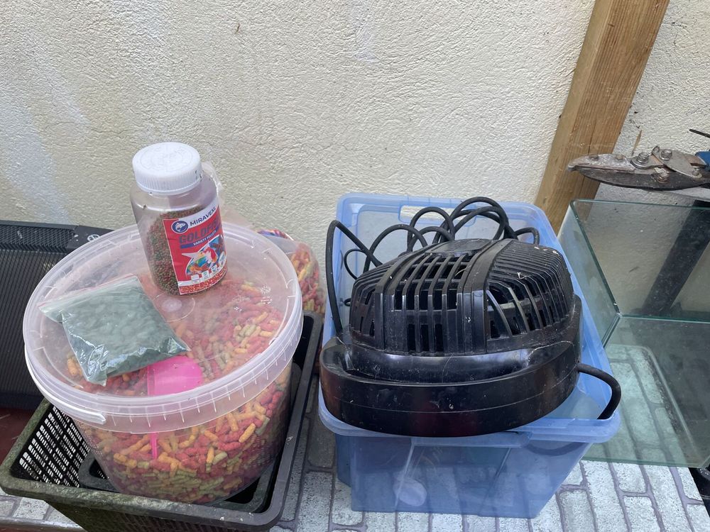   pompe pour bassin 