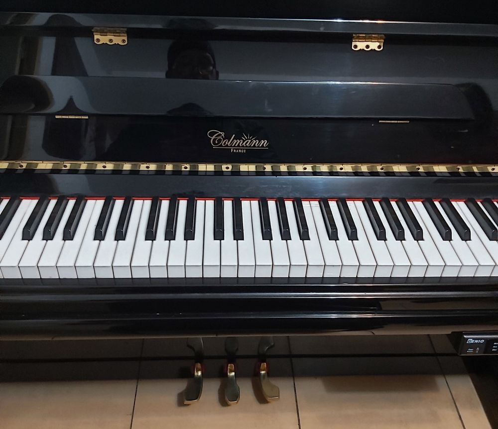 Piano hybride Instruments de musique