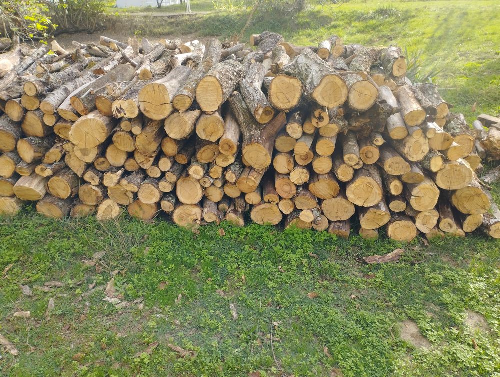 Bois de chauffage Jardin