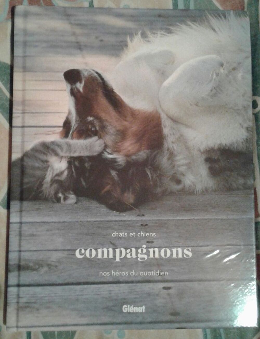 Livre Chats et chiens Compagnons 13 euros Livres et BD