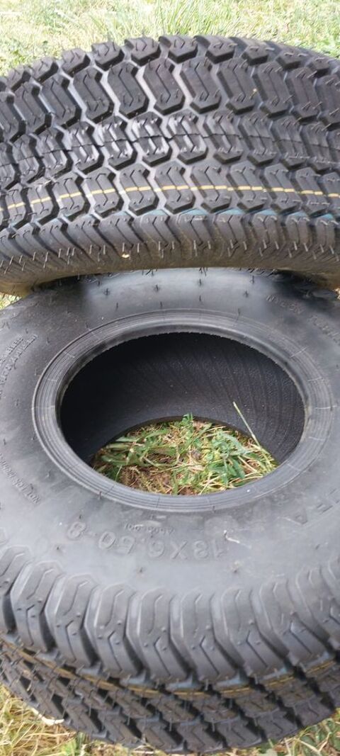 2 pneus tracteur tondeuse Castres (81)