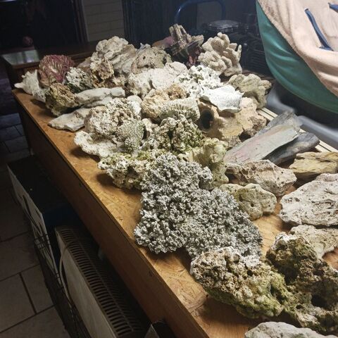 d&eacute;ccord aquarium 0 67500 Haguenau