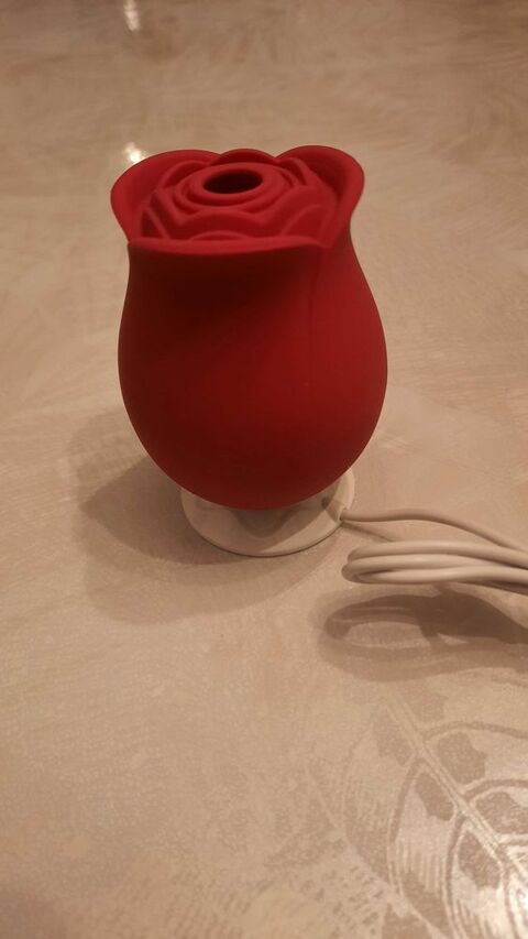 sextoy+Fleur+pulsation+type+womaniser 16 Dieppe (76)