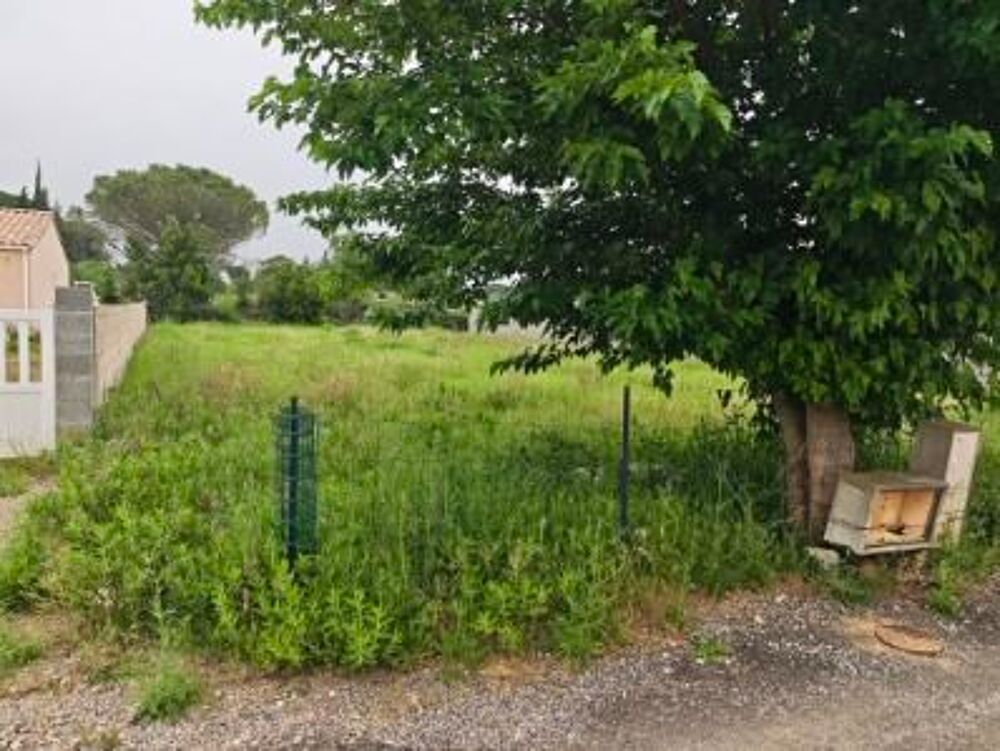 Vente Terrain terrain constructible 5.96a Saint-andré-de-roquelongue