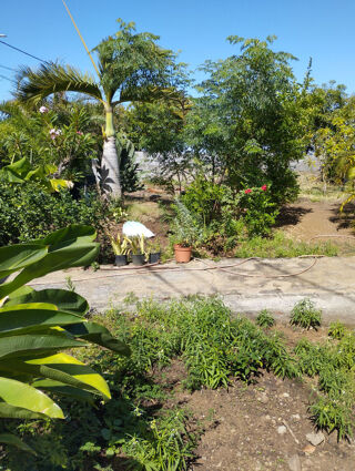  Maison 4 pi�ces 100 m� Les trois-bassins