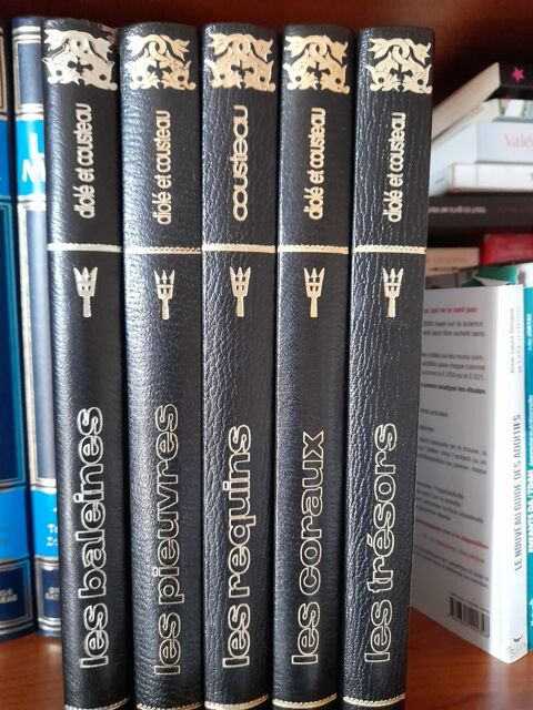 COLLECTION COUSTEAU Le Blanc (36)