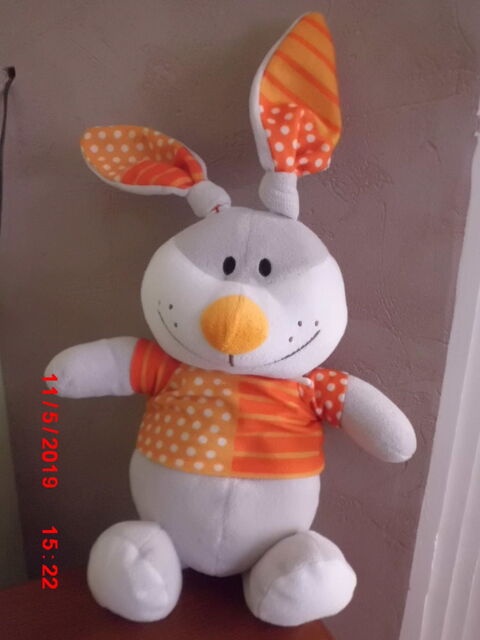 LAPIN GRIS ET ORANGE FIZZY 16 Oignies (62)