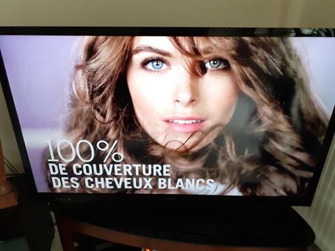 TELEVISEUR SONY 140 CM . 170 Chevry-Cossigny (77)