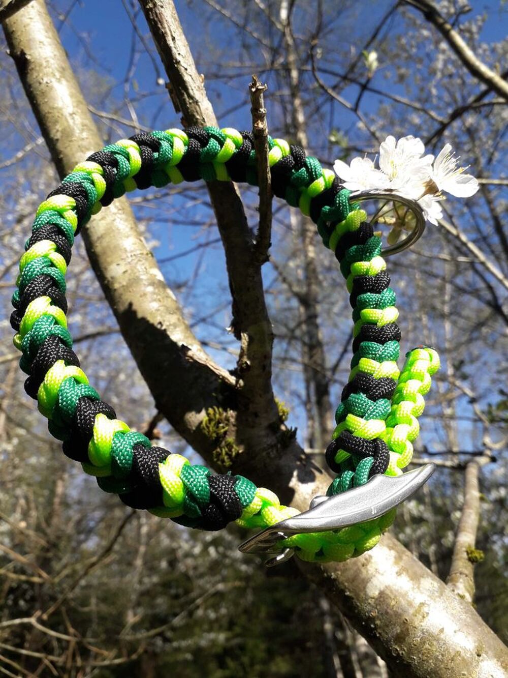 Ensemble collier et laisse Sports