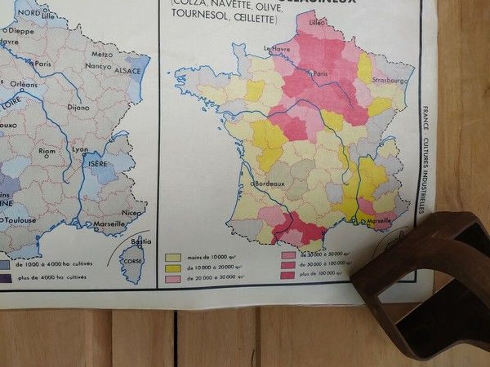 Carte Scolaire France L&eacute;gumes Fruits Fleurs / Cultures Indus 