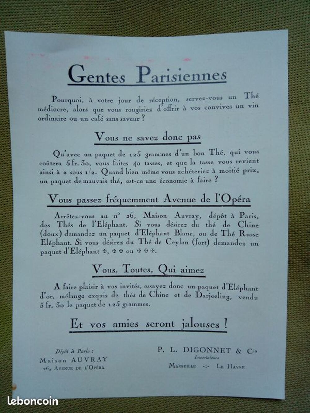 prospectus th&eacute; de l'&eacute;l&eacute;phant 