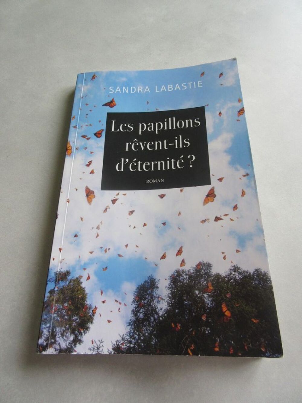 Roman Sandra Labastie Livres et BD