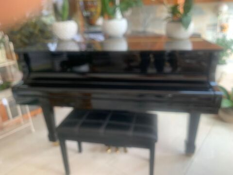 Piano quart de queue Choiseul Cressin-Rochefort (01)