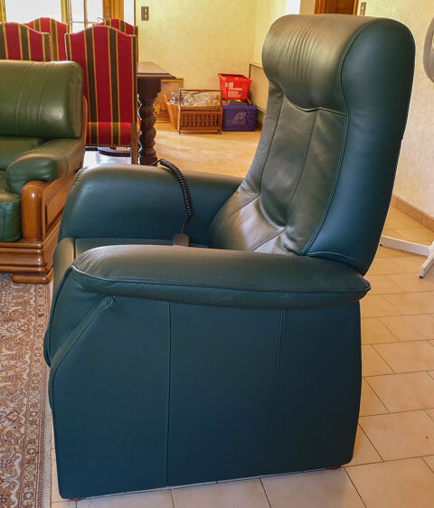 Fauteuil releveur lectrique tout cuir 250 Saint-Chamas (13)