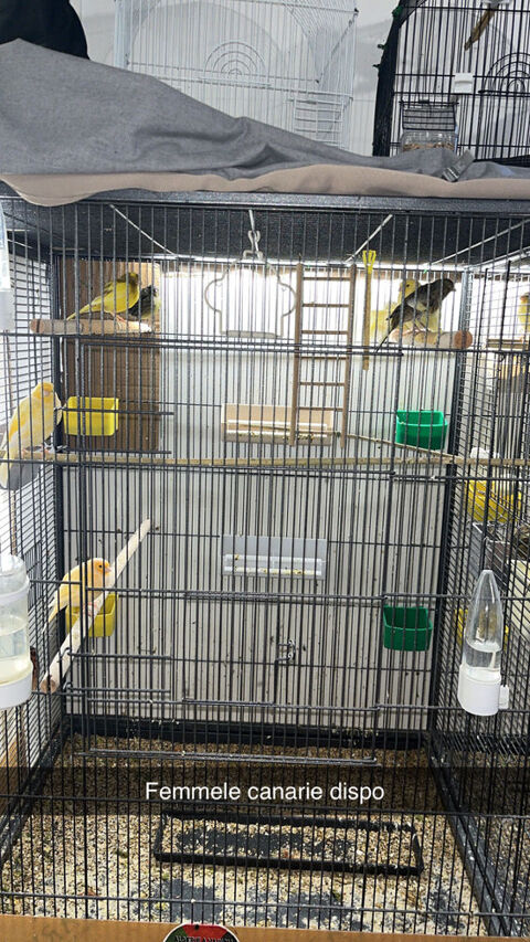 Divers demande et reprise Divers demande et reprise  occasion Nantes 44000