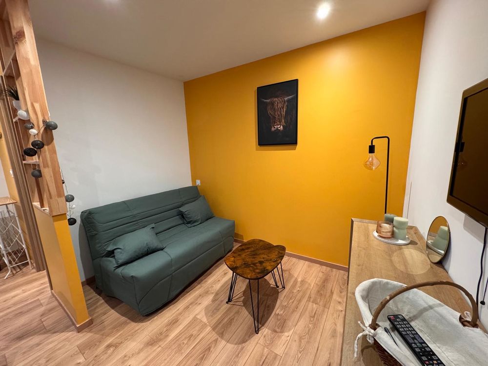 Location Appartement STUDIO MEUBLÉ 21 M2 AVEC PLACE DE PARKING ET CAVE. Mâcon