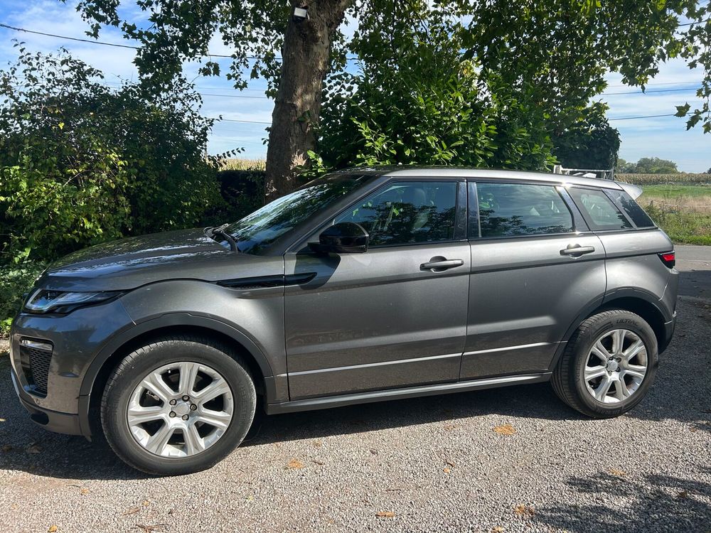 Range Rover Evoque TD4 150 BVA Business 2018 occasion 59910 Bondues