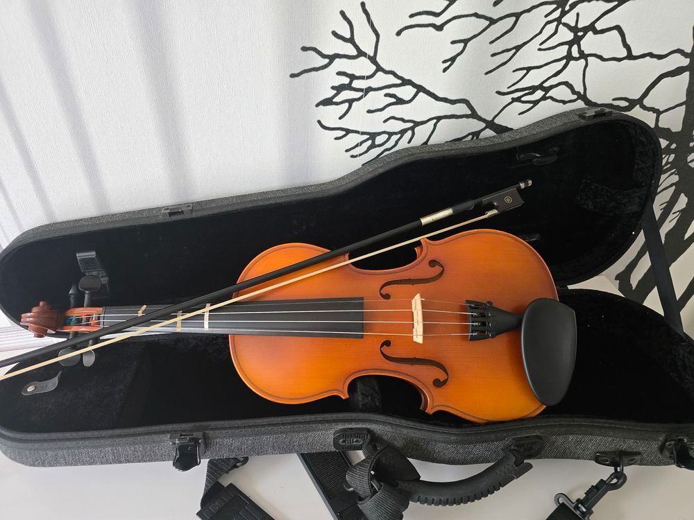 Violon 4/4 Instruments de musique