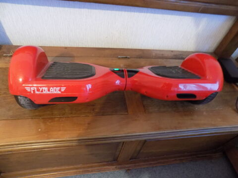 gyropode 35 Nevers (58)