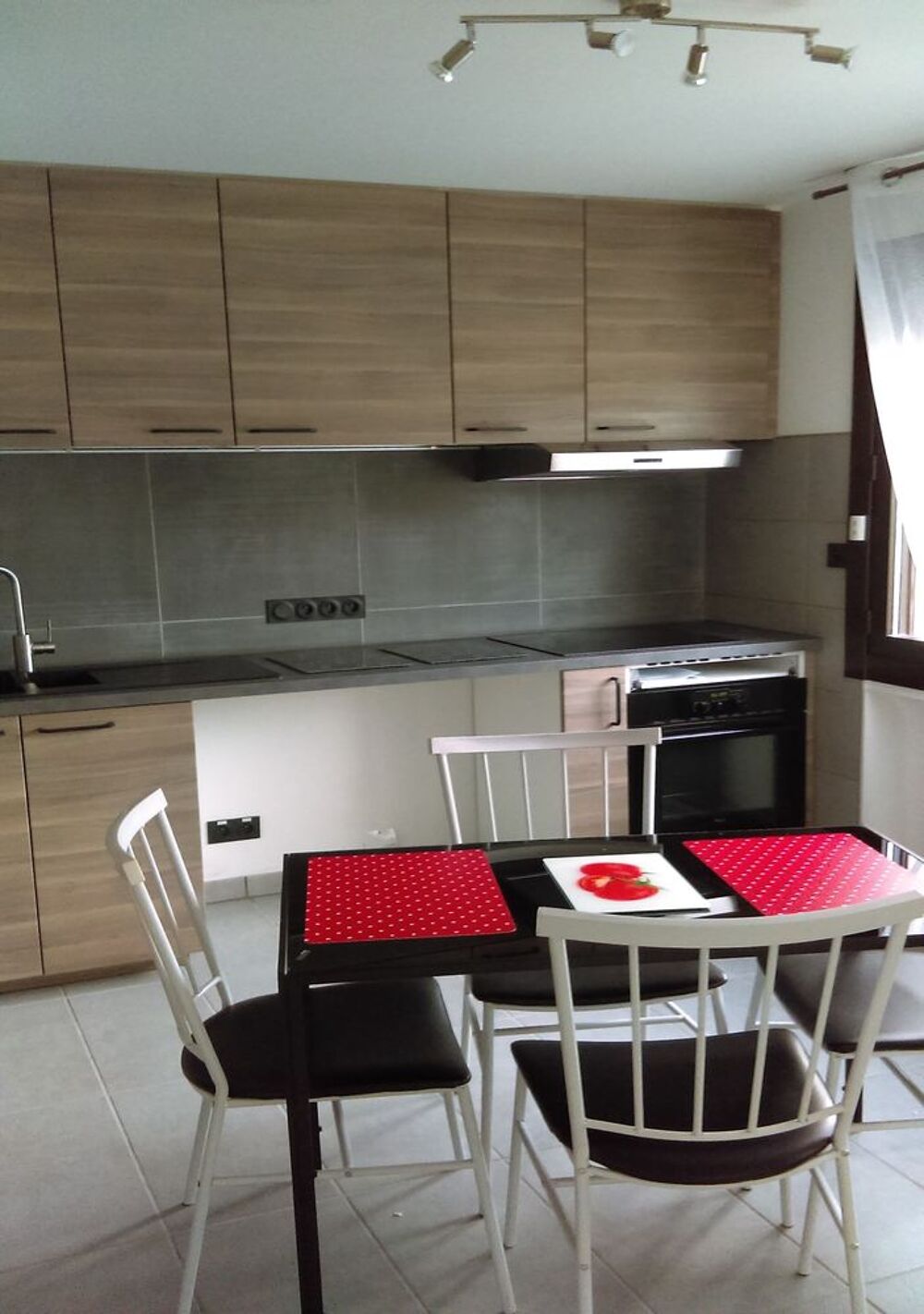 Location Appartement A  louer T2 meublé 28 m2 ALBERTVILLE Albertville