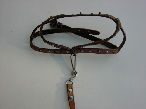 Laisse + harnais en cuir pour chien 16 18390 Saint-germain-du-puy