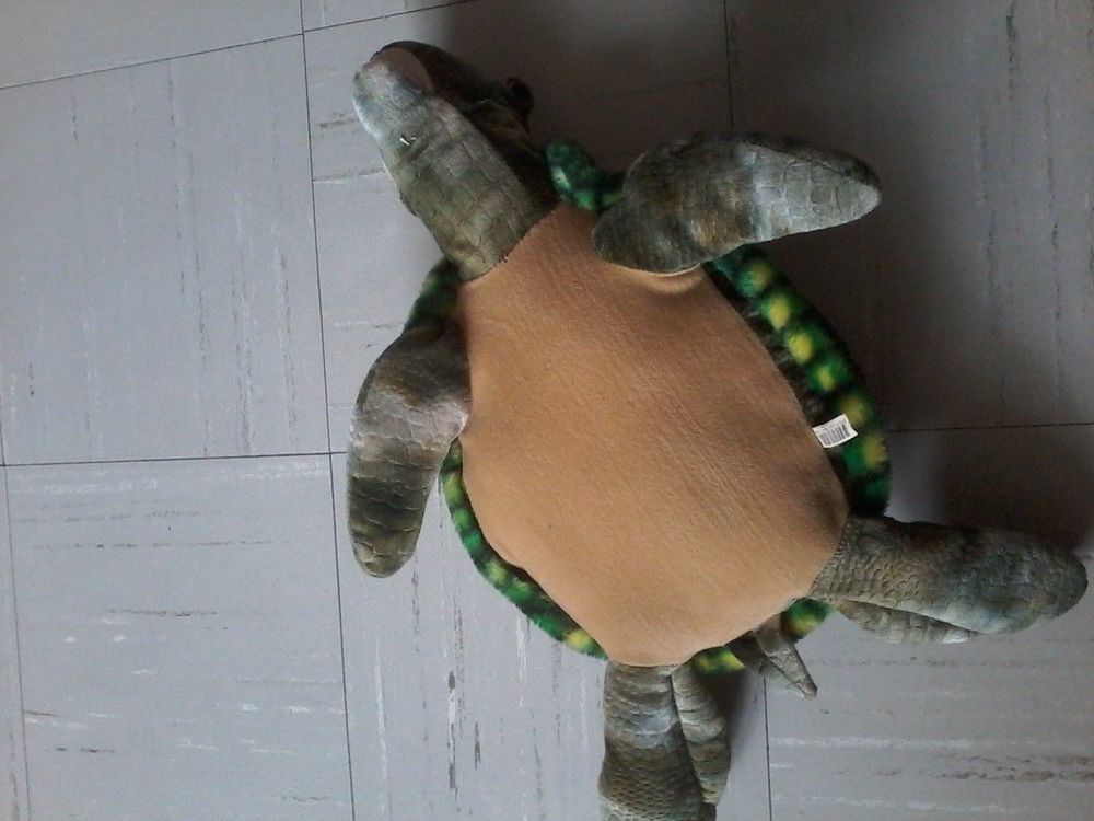 Peluche Tortue Jeux / jouets