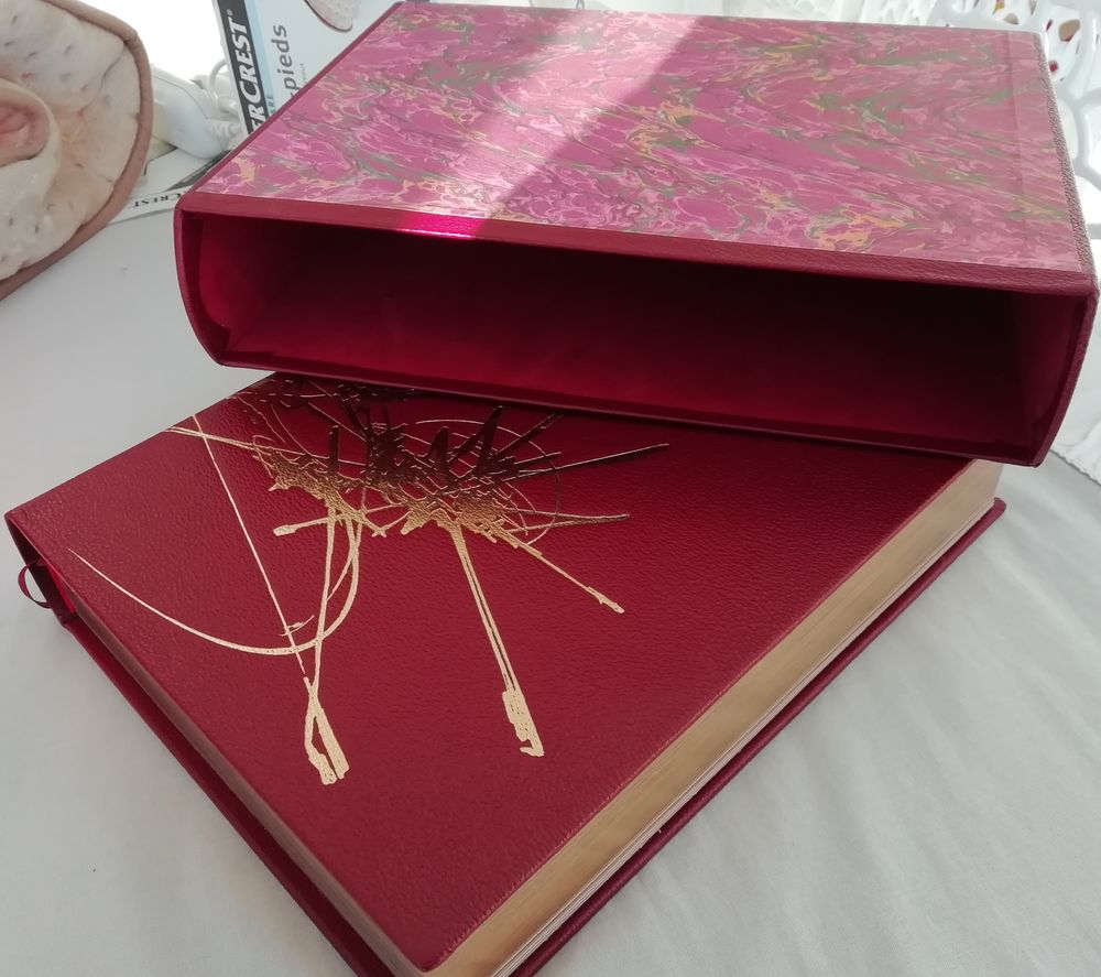 DICTIONNAIRE DES MONUMENTS DE PARIS HERVAS Livres et BD