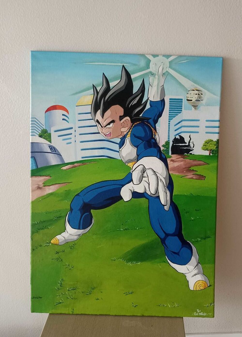 de tableau d&eacute;co dragon ball Z Décoration