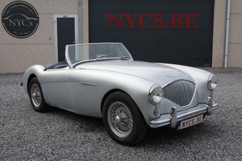 Annonce voiture AUSTIN-HEALEY Voiture 49900 €